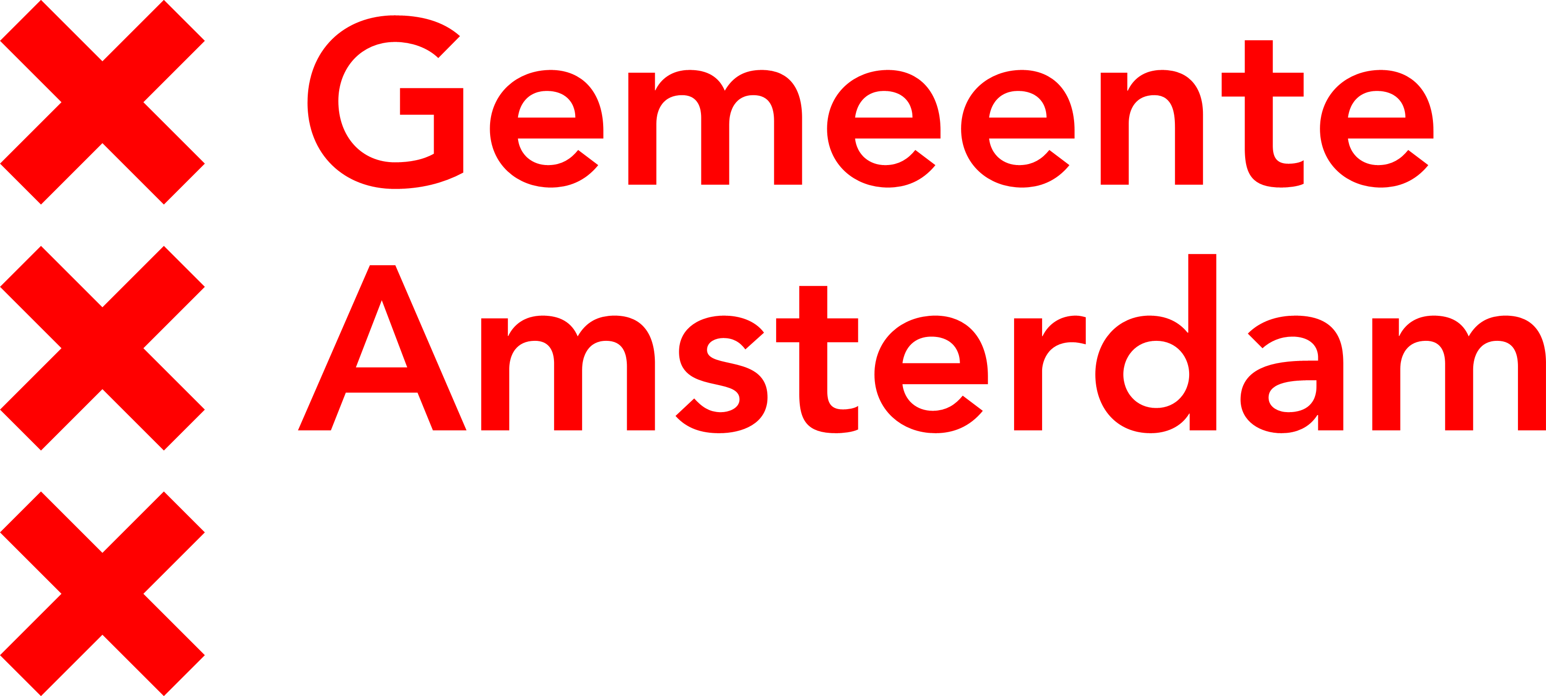 Directeur Subsidies, Inkoop en Juridisch Bureau Sociaal (SIS)