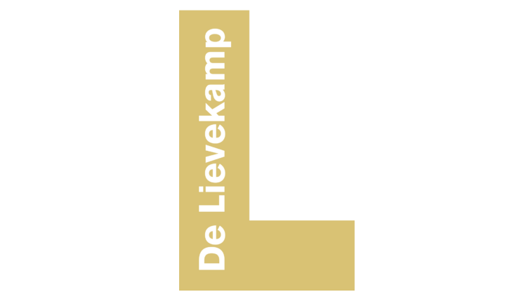 Directeur-bestuurder