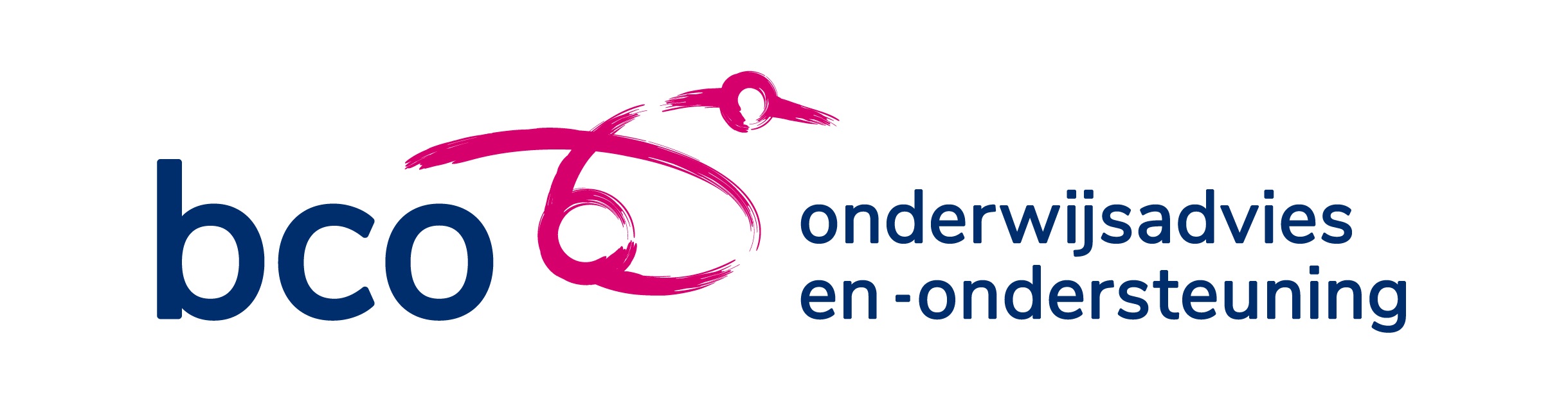 Directeur-bestuurder