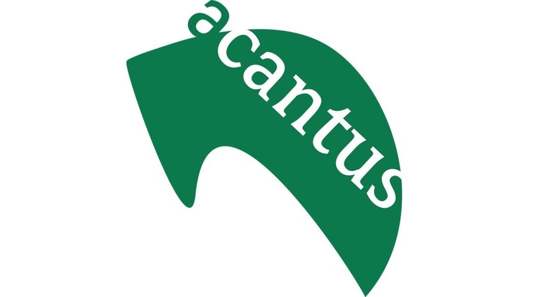 Lid Raad van Commissarissen, profiel sociaal/maatschappelijk en bestuurlijk