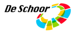 Directeur-bestuurder