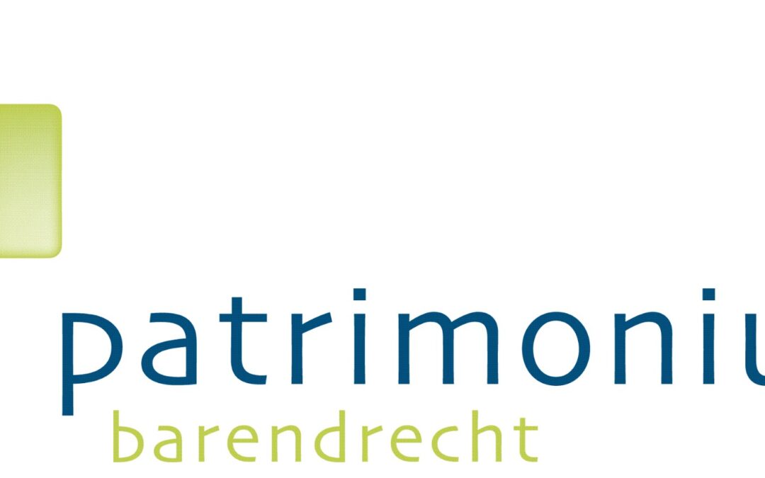 Directeur-bestuurder