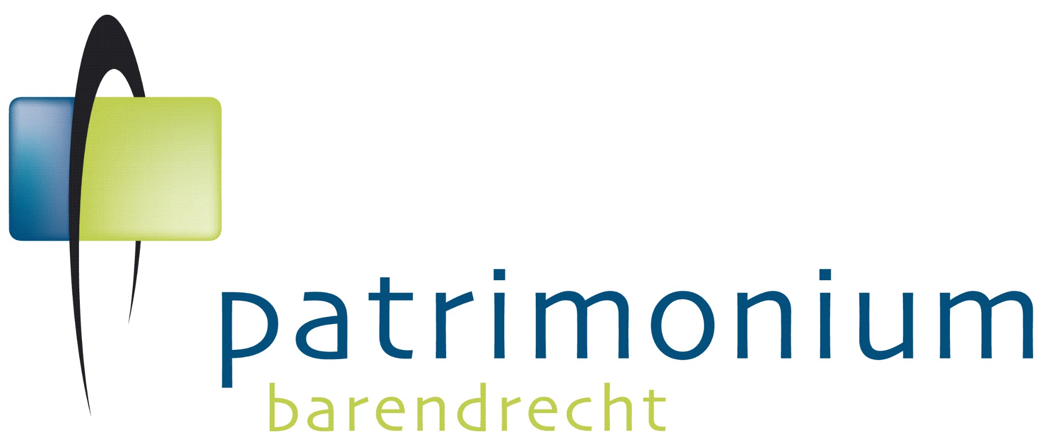 Directeur-bestuurder